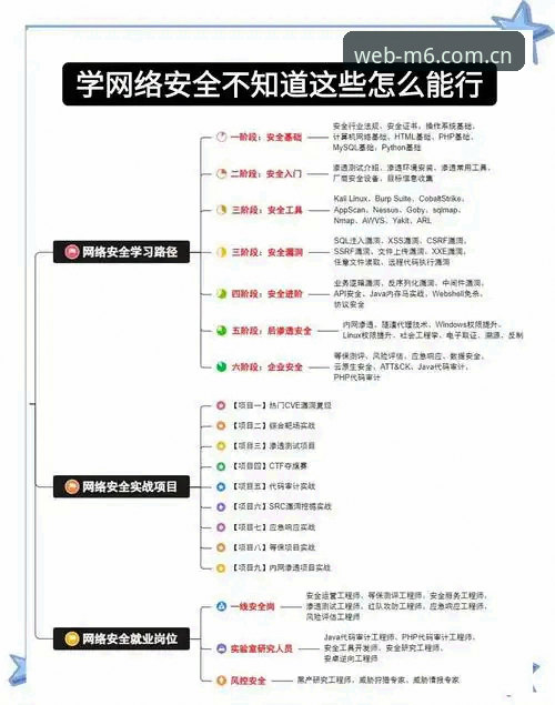 M6稳定版使用指南：从下载到高效操作的必备知识