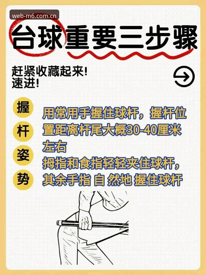 M6体育平台使用教程：从新手到高手的完整操作指南