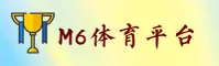使用指南与常见问题